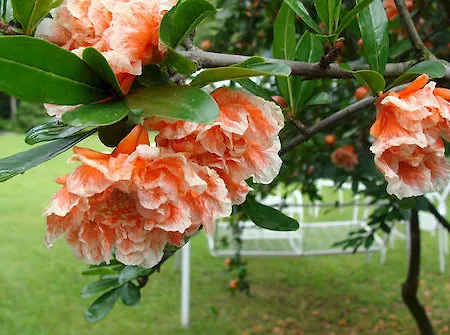 Vendégház Varsc Varzo